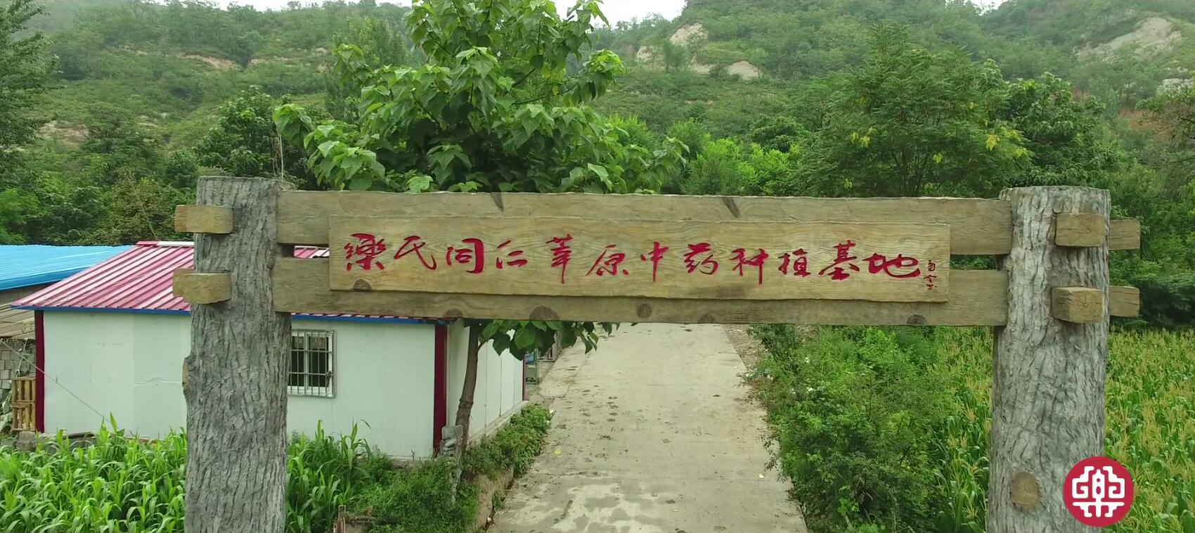 中药材种植基地.jpg
